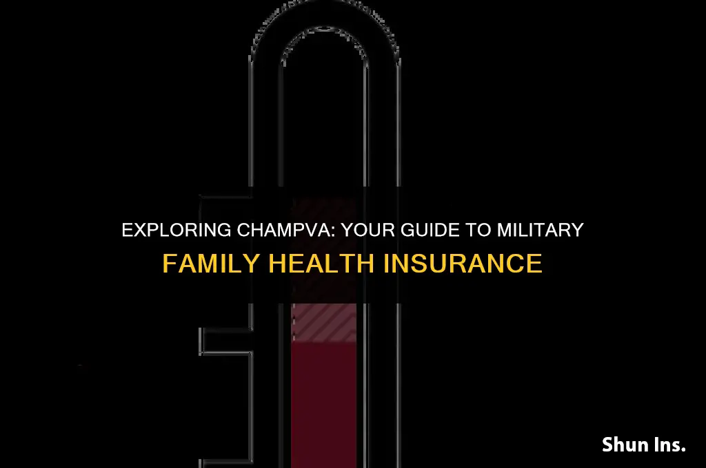 is champva health insurance