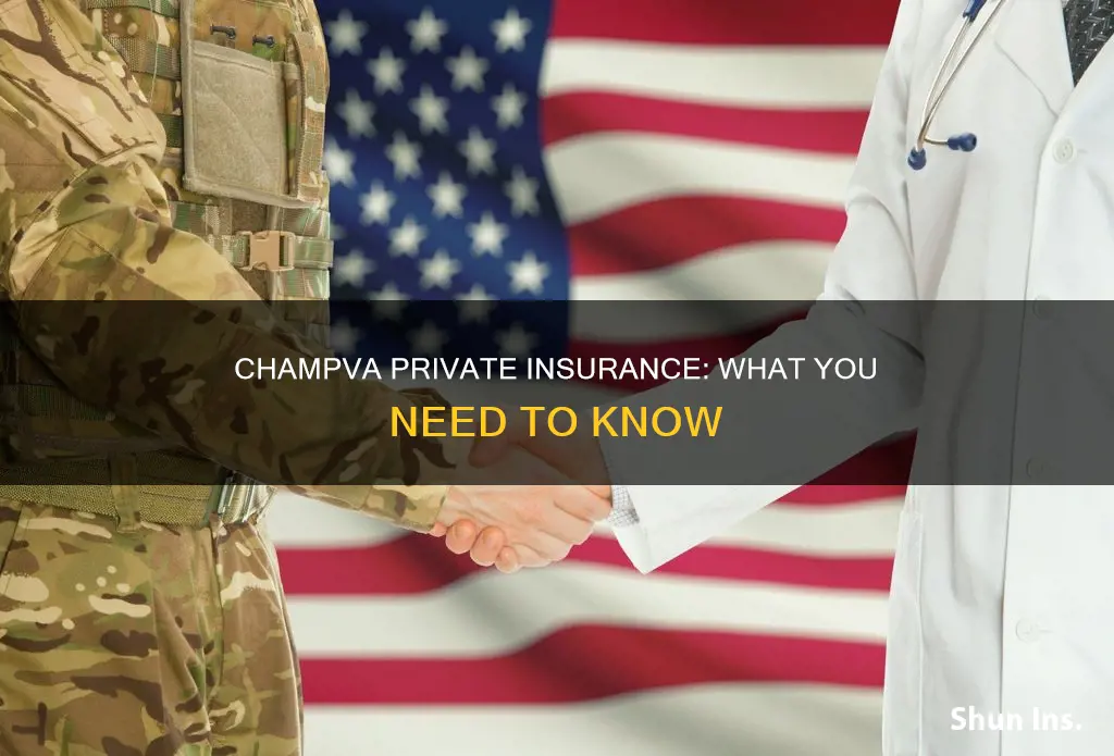 is champva private insurance