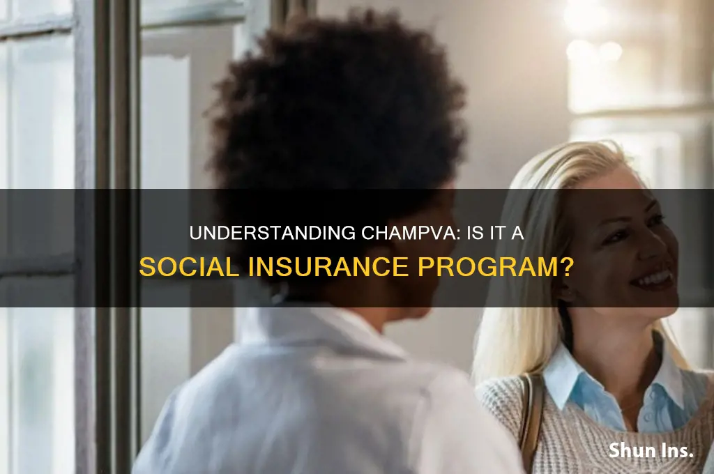 is champva social insurance program