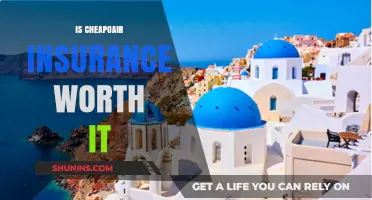 Cheapoair Insurance: Is It Worth the Cost?