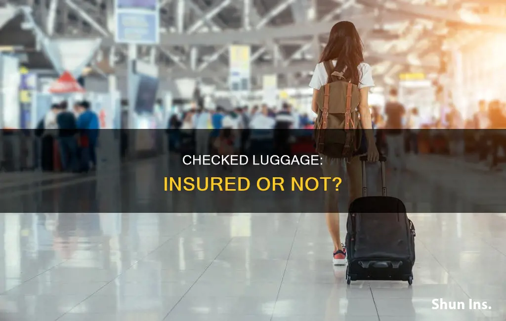is checked luggage insured