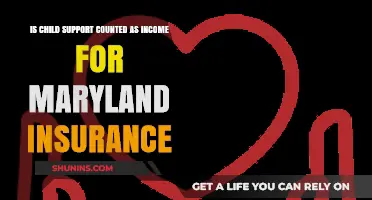 Does Child Support Affect Maryland Insurance Income Eligibility?