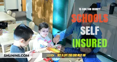 Are Chilton County Schools Self-Insured? Exploring Their Coverage Model