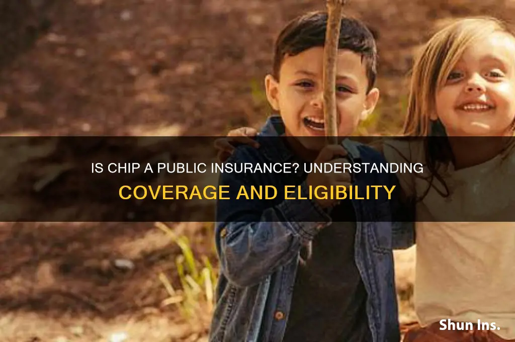 is chip a public insurance