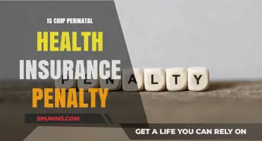 Understanding the CHIP Perinatal Health Insurance Penalty