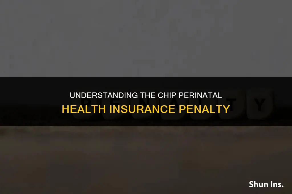 is chip perinatal health insurance penalty