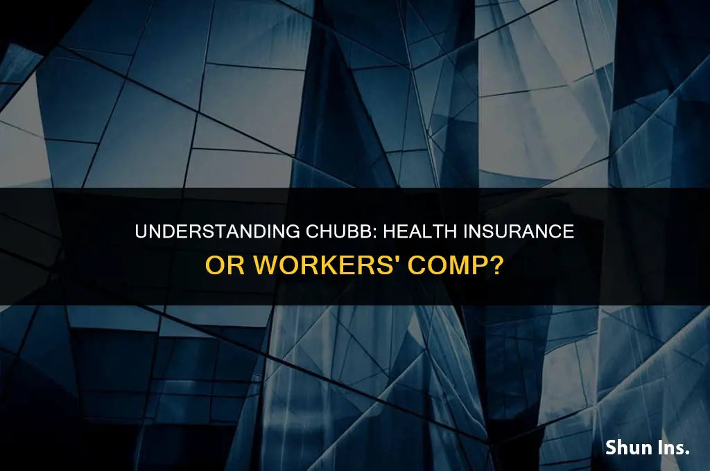 is chubb health insurance or workers comp