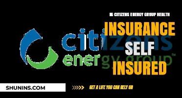 Exploring Citizens Energy Group's Health Insurance: Self-Insured or Not?