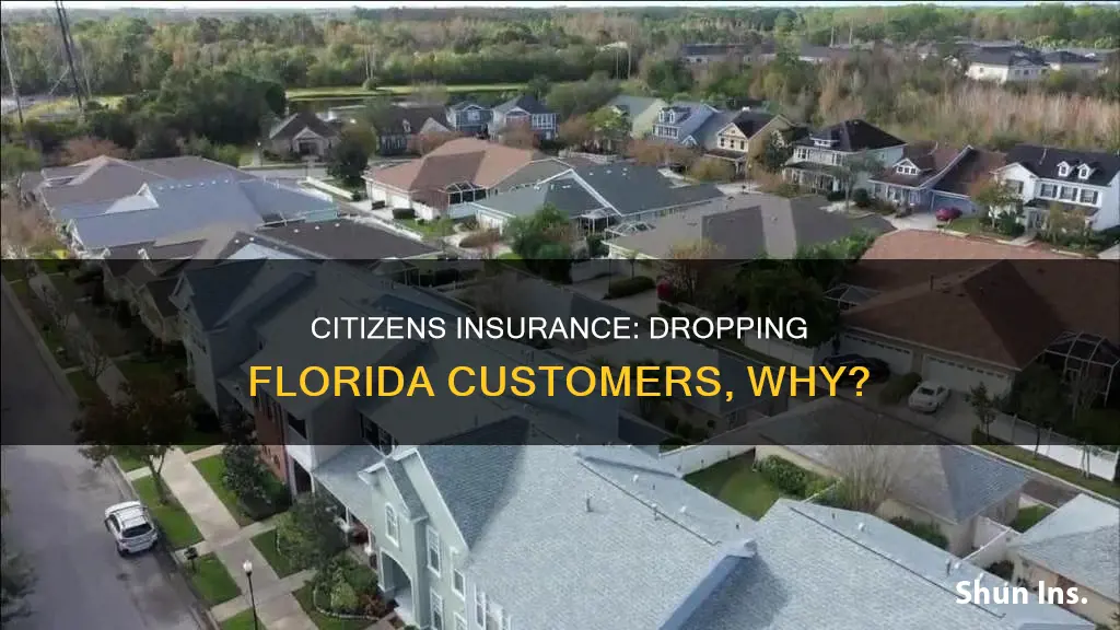 is citizens insurance dropping customers in Florida