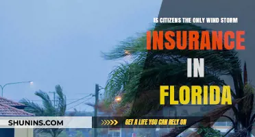Florida Windstorm Insurance: Citizens and Other Options
