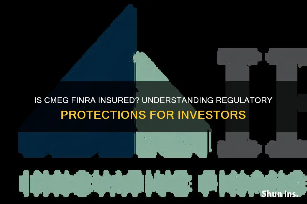is cmeg finra insured