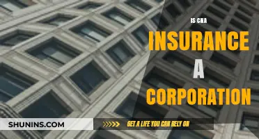 Is CNA Insurance a Corporation? Understanding Its Legal Structure