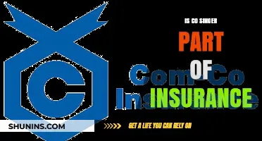 Is Co-Singer Insurance a Must for Musicians? What You Need to Know