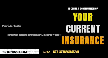 Is Cobra a Seamless Extension of Your Existing Health Insurance Plan?