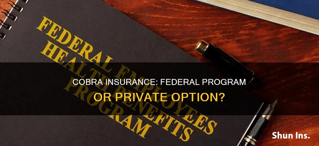 is cobra a federal insurance program