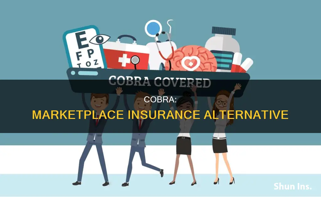 is cobra considered marketplace insurance