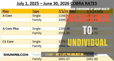 Exploring the Benefits of Cobra Conversion for Group Health Insurance