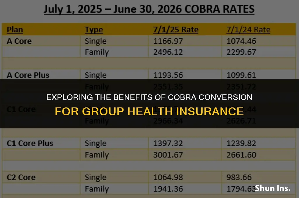 is cobra conversion of group health insurance to undividual