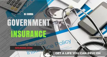 Is Cobra Government Insurance Right for You? Exploring Your Options