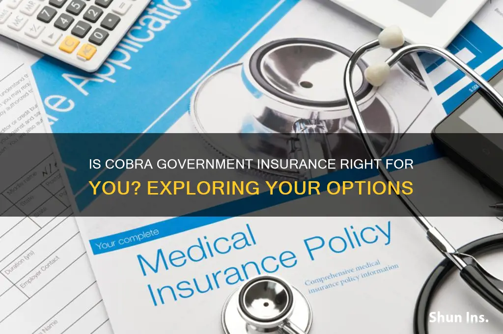 is cobra government insurance