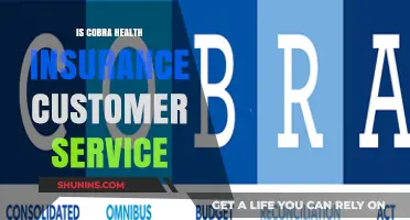 Exploring Cobra Health Insurance: Customer Service Insights