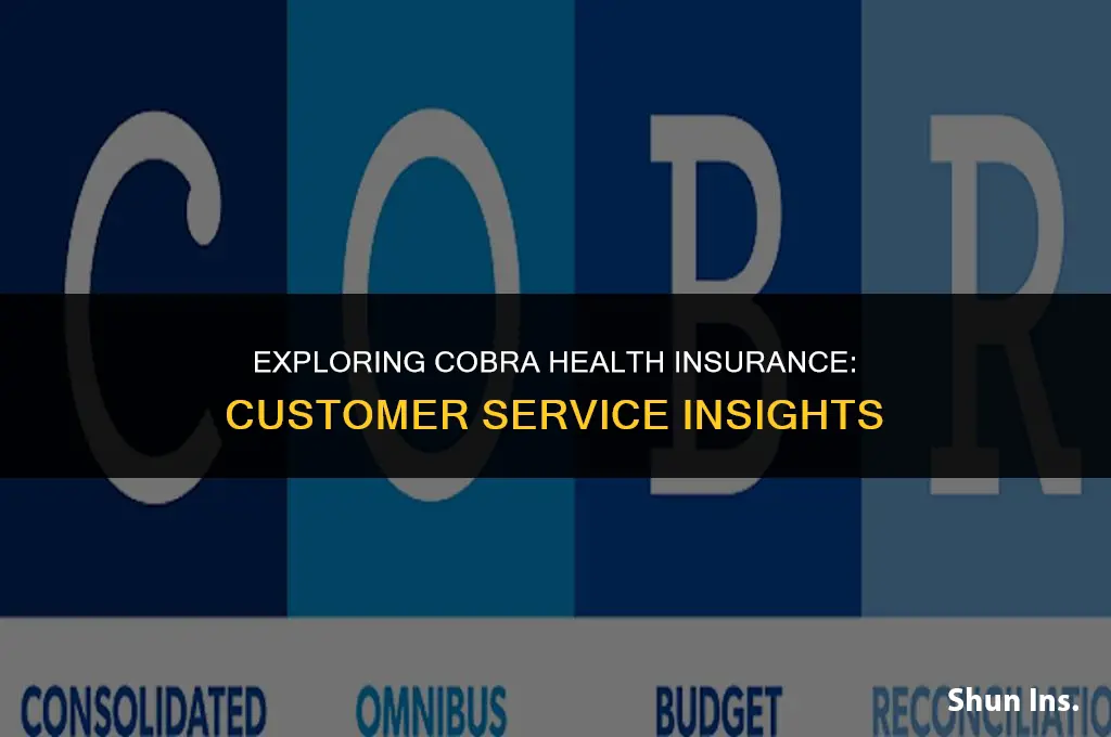is cobra health insurance customer service