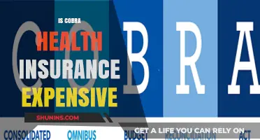 Decoding Cobra Health Insurance Costs: Is It Worth the Expense?