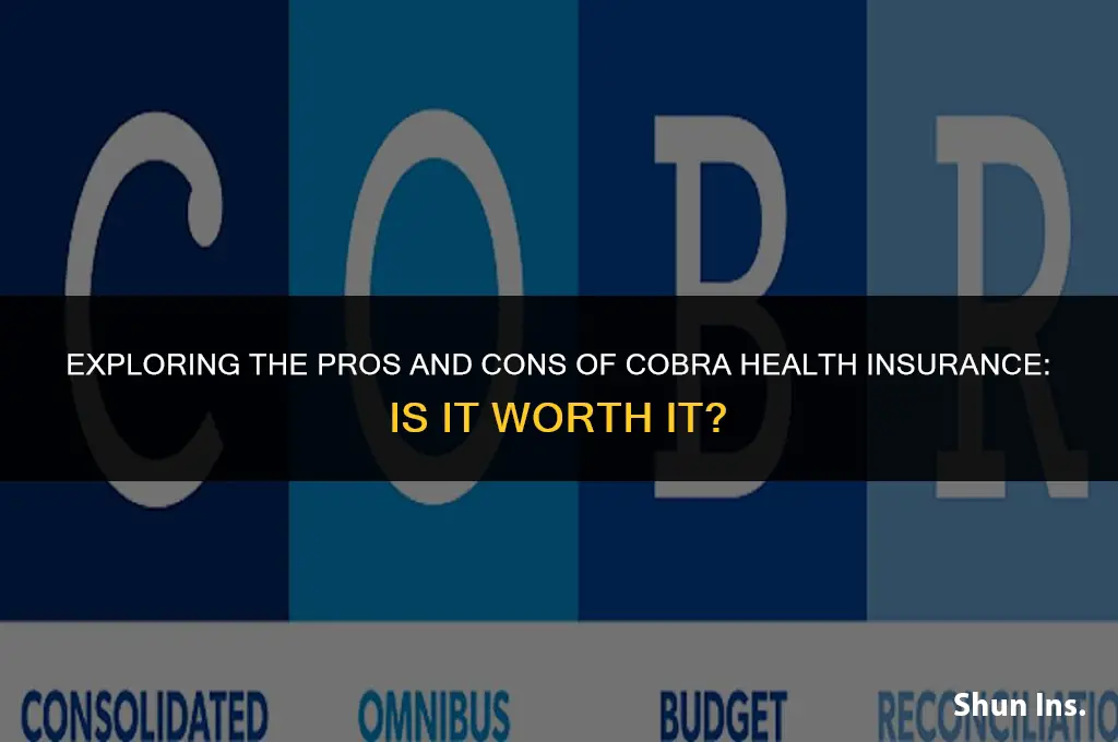 is cobra health insurance worth it