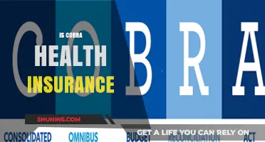 Exploring the Benefits and Drawbacks of Cobra Health Insurance
