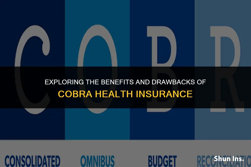 is cobra health insurance