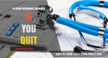 Can You Get Cobra Insurance After Quitting Your Job?