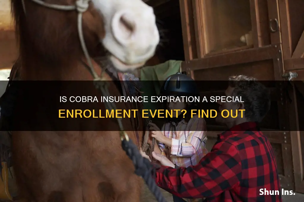 is cobra insurance expiring a special enrollment event