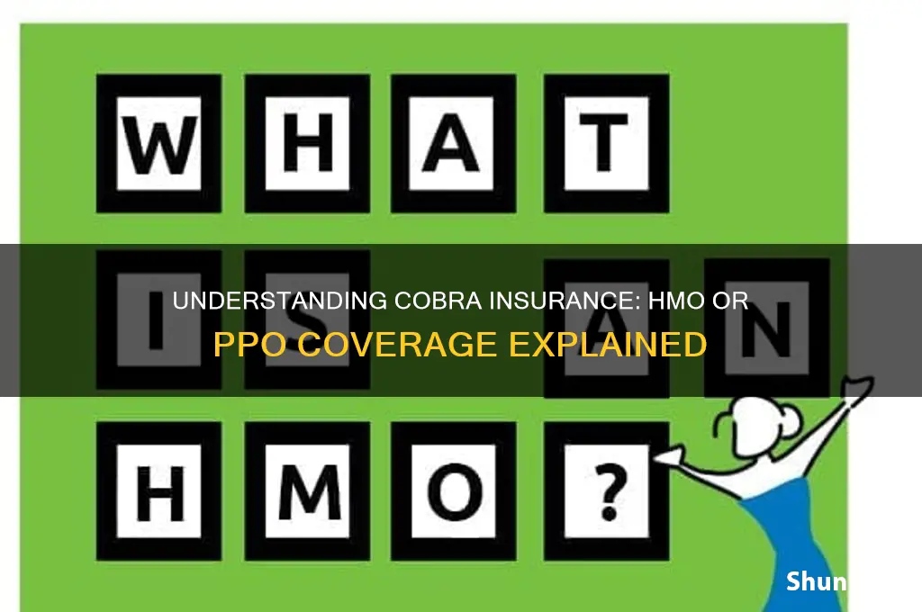 is cobra insurance hmo or ppo