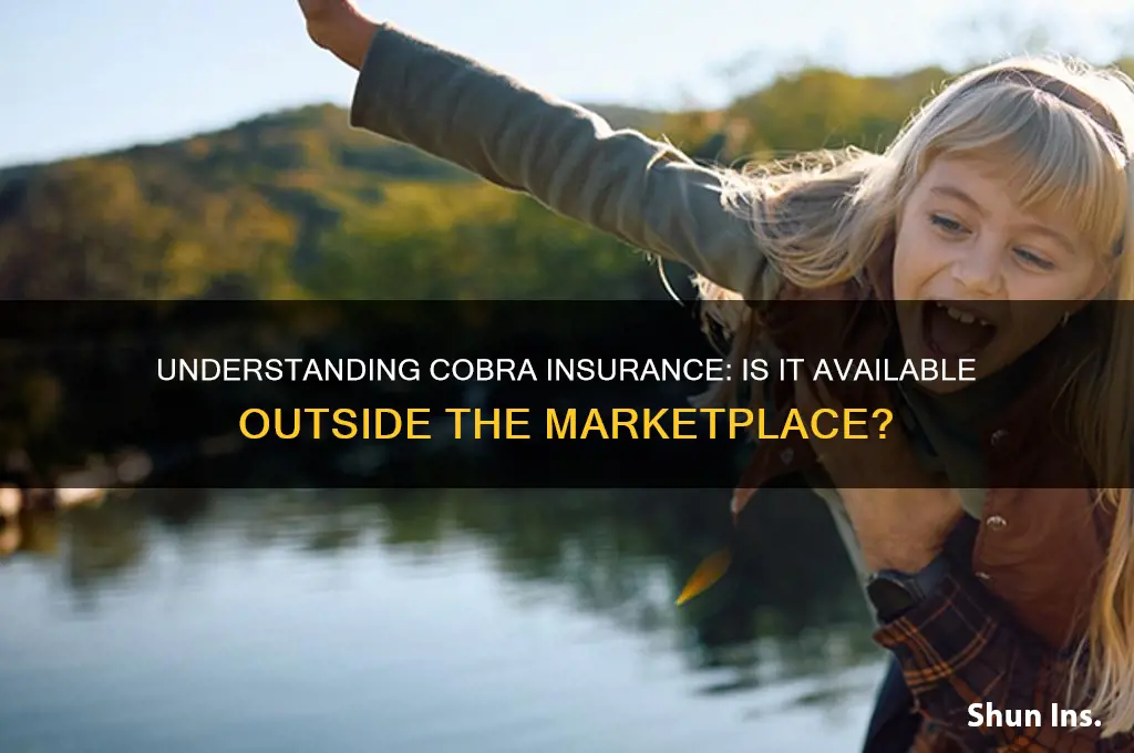 is cobra insurance outside of the marketplace