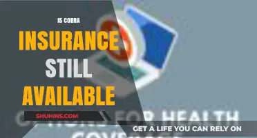 Is Cobra Insurance Still Available? Exploring Your Health Coverage Options