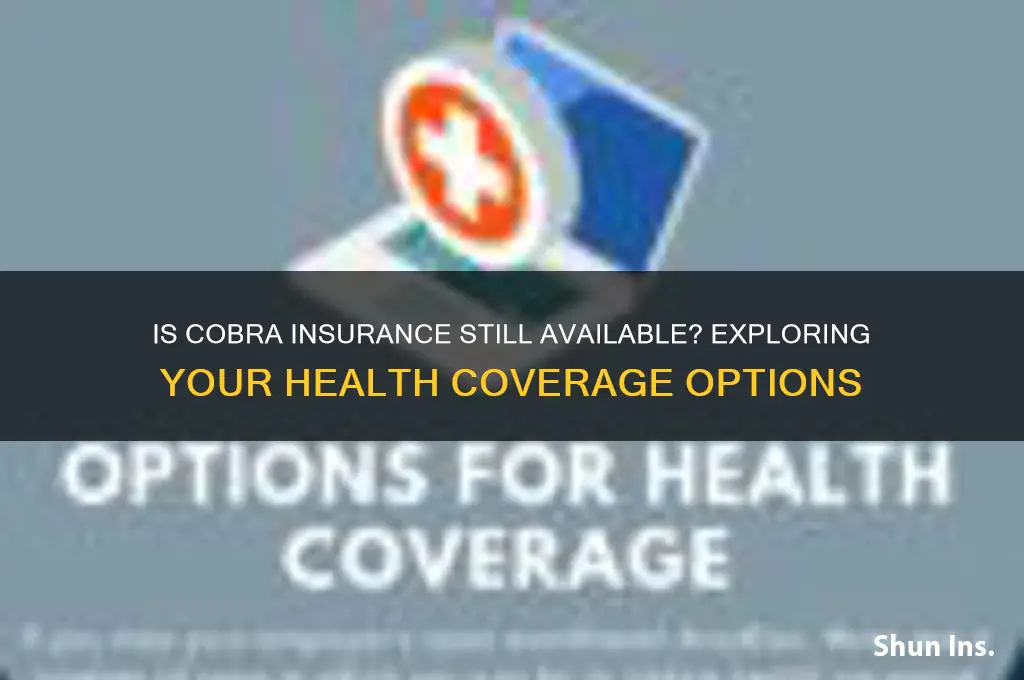 is cobra insurance still available