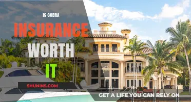 Cobra Insurance: Worth the Cost?
