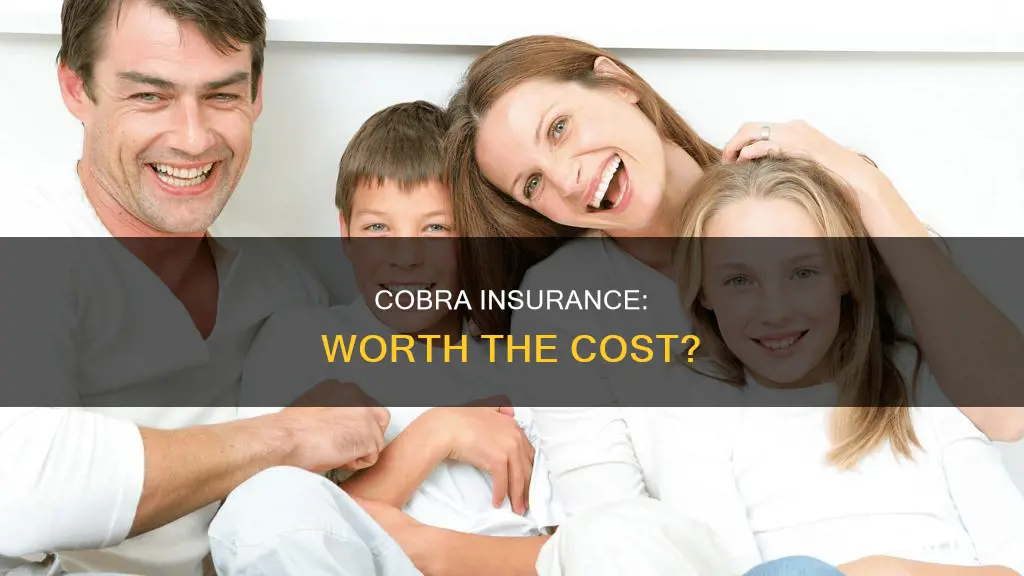 is cobra insurance worth it