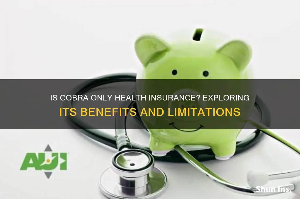 is cobra just for helath insurance