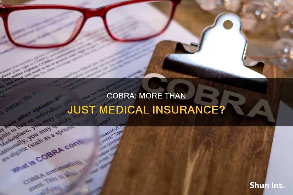 is cobra just for medical insurance