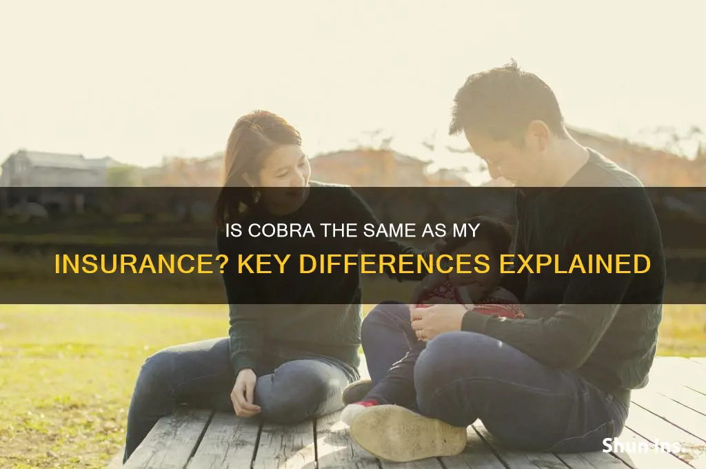 is cobra the same as my insurance