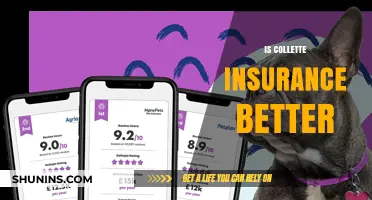 Is Collette Insurance Better? A Comprehensive Review and Comparison