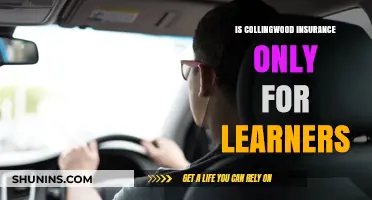 Collingwood Insurance: Is It Exclusively for Learner Drivers?