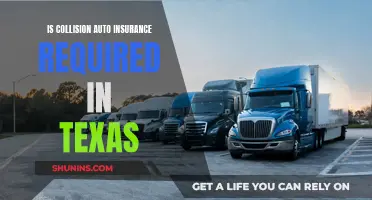 Texas Auto Insurance: Is Collision Coverage Mandatory?