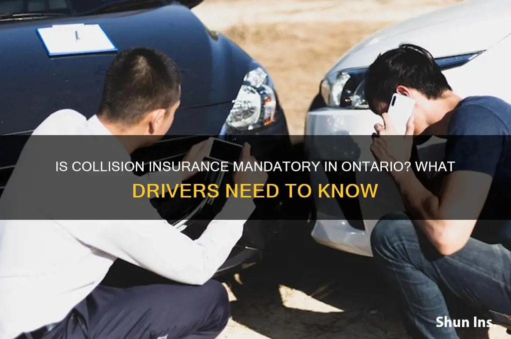 is collision insurance mandatory in ontario