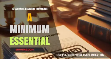 Colonial Accident Insurance: Essential or Excessive Coverage?