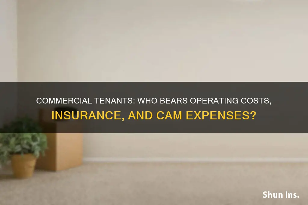 is comkericwl tennants responsible for operatingcost insurance and cam