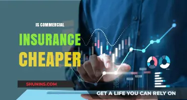 Commercial Insurance: Is It a Cost-Effective Option?