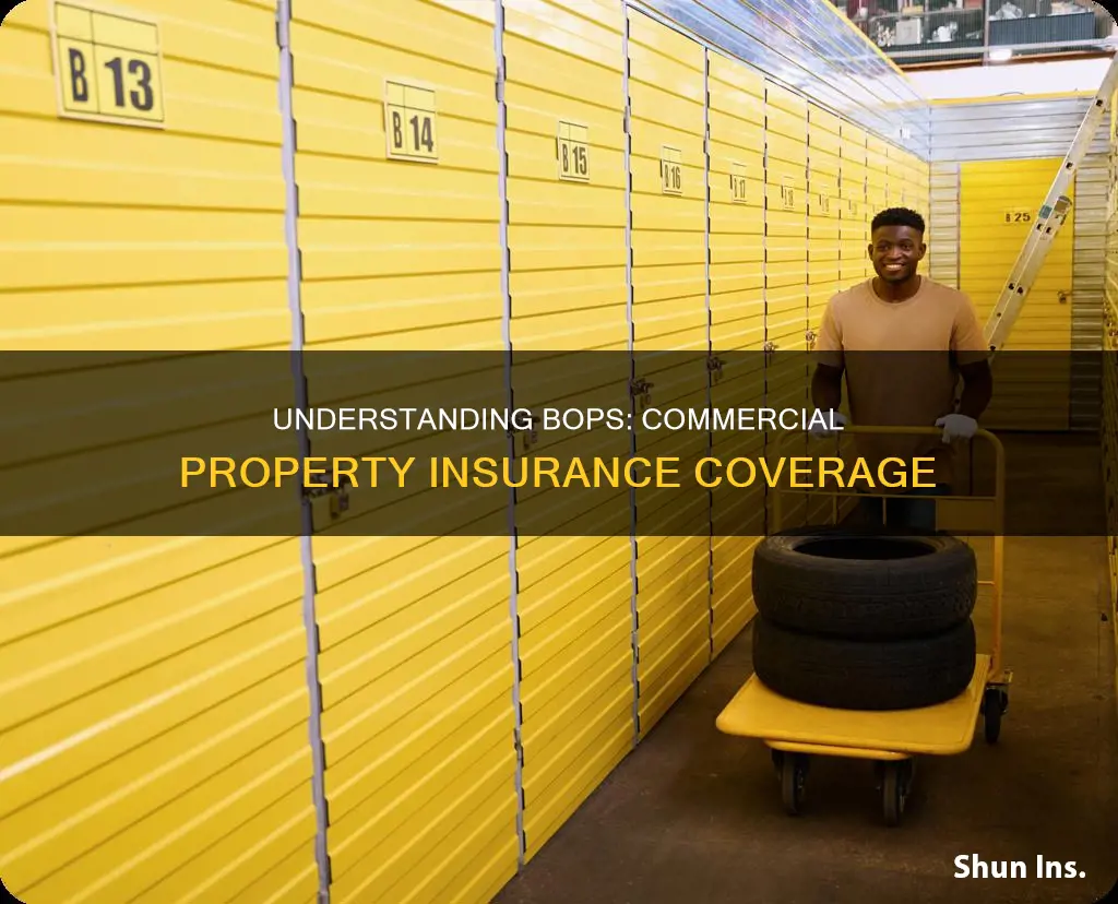 is commercial property insurance part of bop