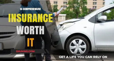 Comprehensive Insurance: Worth the Cost?